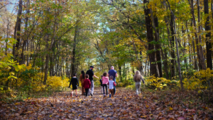 WalkingInTheWoods (1)